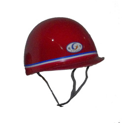 ��ȫͷ������ɫ��